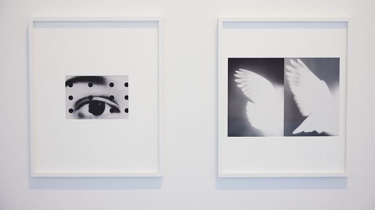 Adam Bloch, Act, 2022. Street Birds, 2022