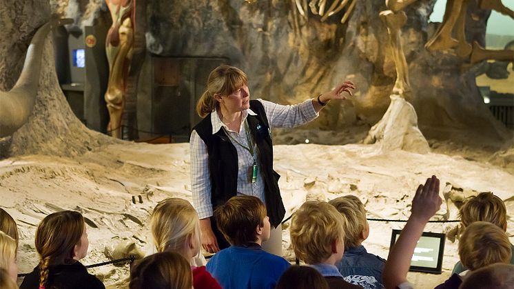 Det händer i höst på Naturhistoriska riksmuseet