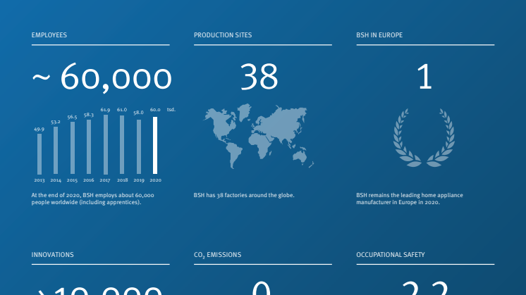 BSH_Press_Information-2020-in-Figures.pdf