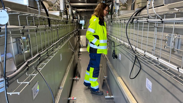 Kväverening vid Fillan avloppsreningsverk med Malin Tuvesson