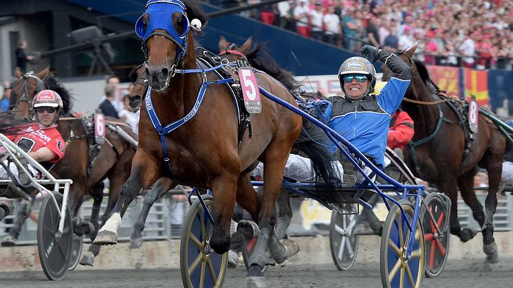 Spelarna de stora vinnarna under Elitloppshelgen