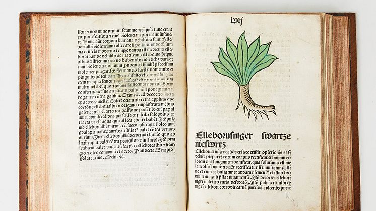 Herbarius Patavie – flora från Passau