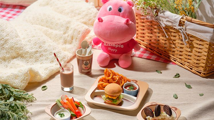 Picnic Set.jpg