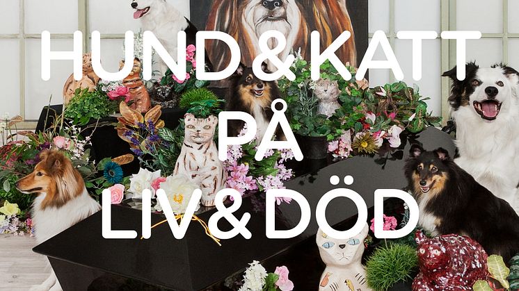Hund & katt på liv & död