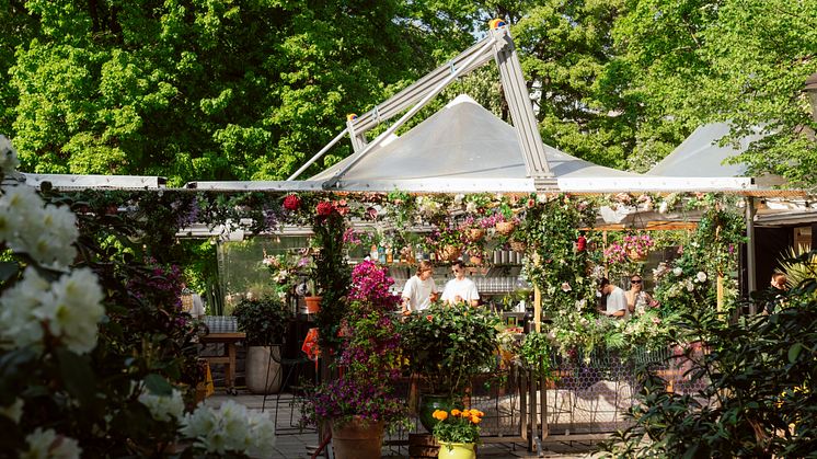 DET SURRAR I HUMLAN NÄR AGUAS  FRESCAS, TACOS OCH CHELADAS SERVERAS I SOMMAR 