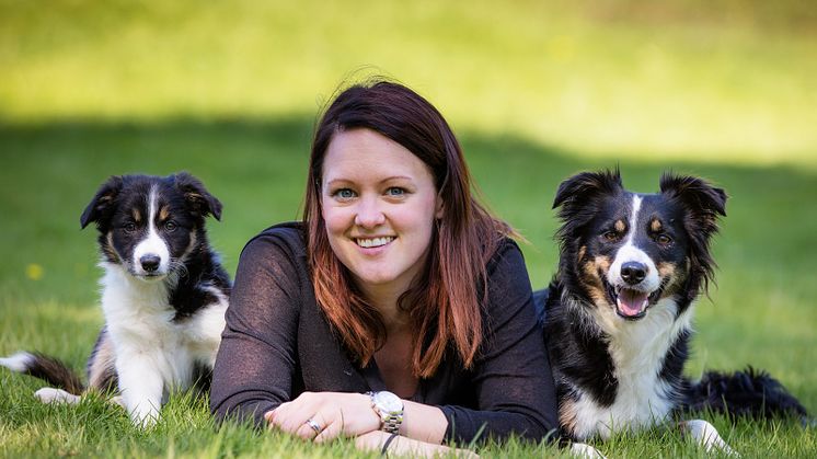 Border collies med sin matte
