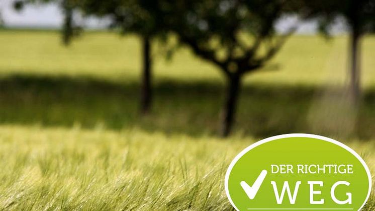 Professionell IT Business goes Green