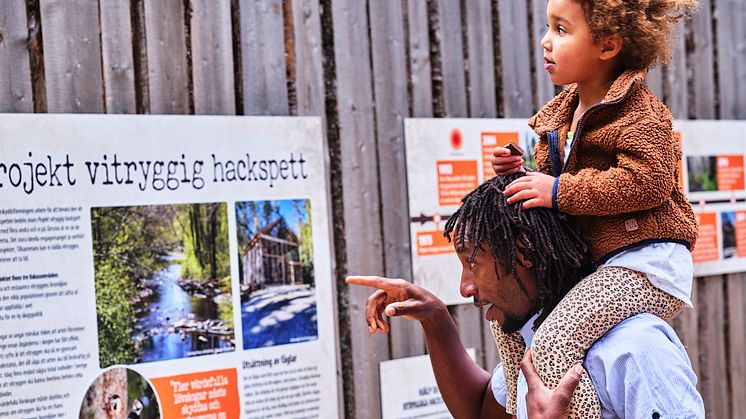 Framgångsrikt samarbete mellan Järvzoo, Naturskyddsföreningen och Sveaskog