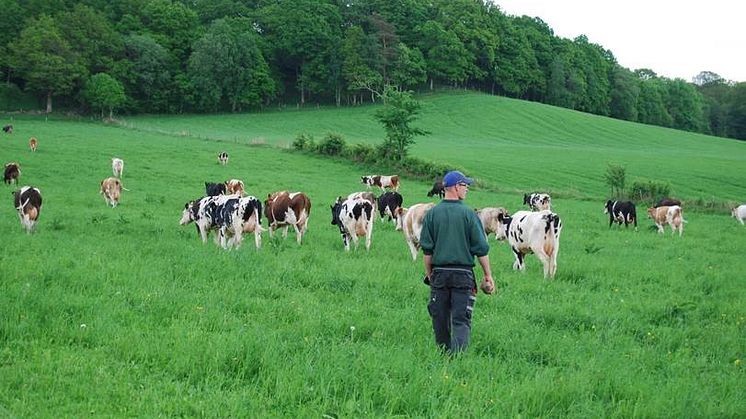 The whole list: Counties with the largest amount of KRAV-certified farmers