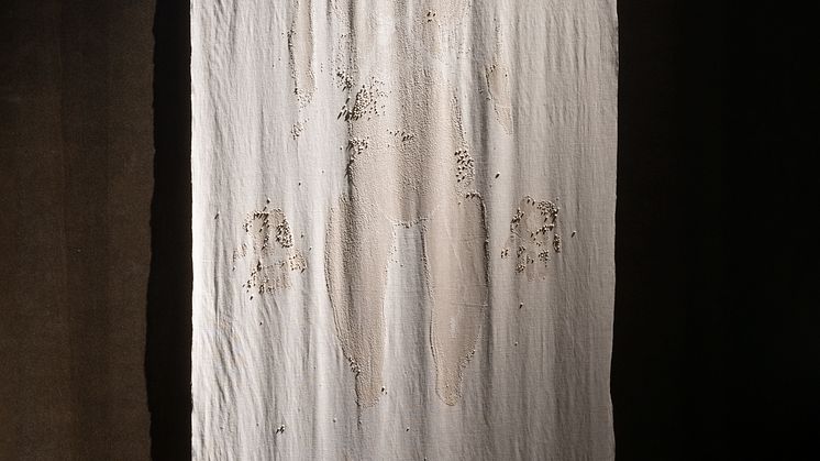 Sonja Bäumel, Expanded Self, 2021