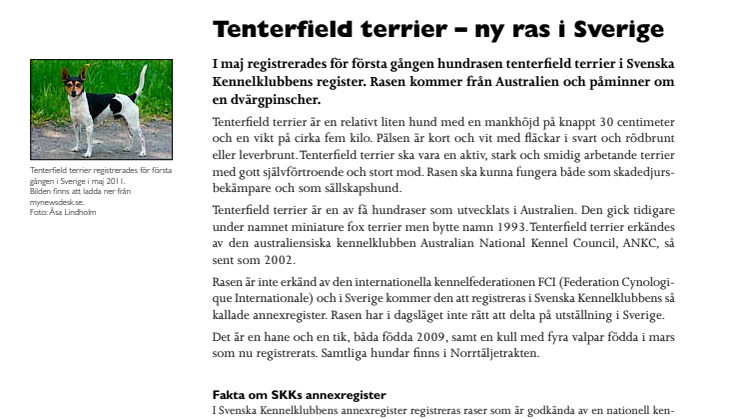 Tenterfield terrier – ny hundras i Sverige