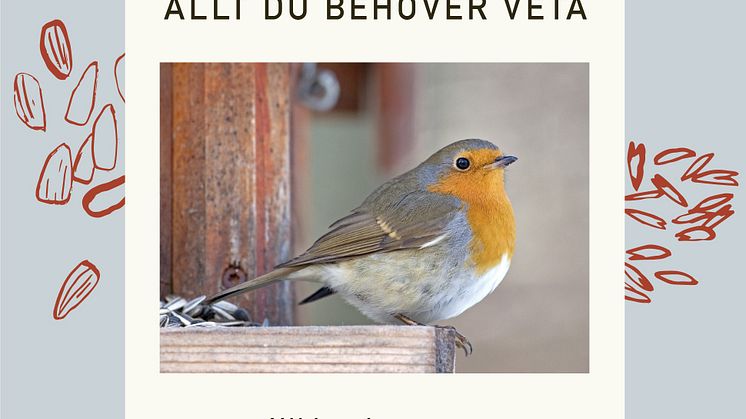fågelmatning-allt-du-behöver-veta.jpg