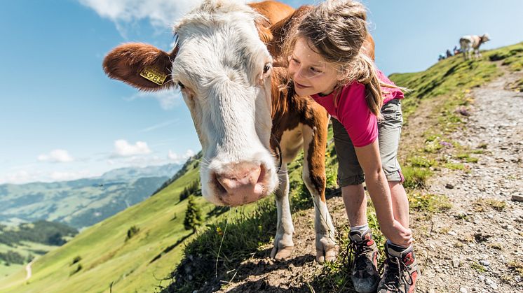 Option 2_Familienerlebnisse in der Ferienregion Gstaad (Rinderberg)_©Switzerland Tourism-Mattias Nutt.jpg