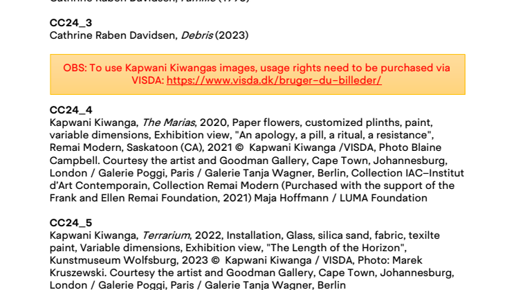 Exhibition Program 2024 – Captions.pdf