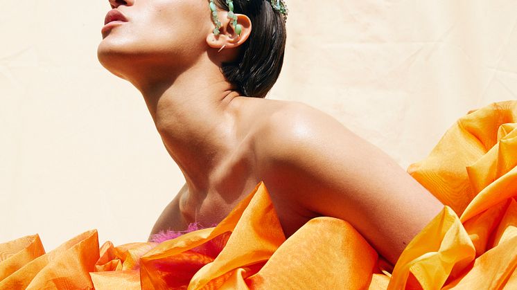 I Reach to Where the Sun Shines – Sandra Saeidi
