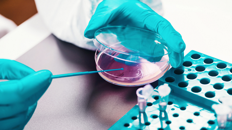 The P&G led Bioscience for Sustainable Consumer Products (BISCOP) CTP will create an inclusive, collaborative environment for high quality doctoral training. Image ID: Shutterstock 1379063297