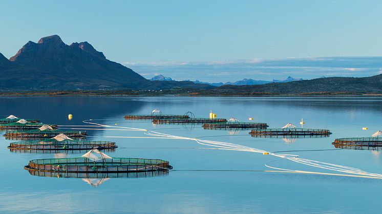 One of Cermaq's farming sites in Nordland, Norway