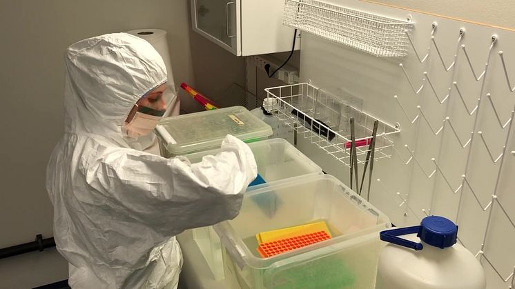 Labbilder från Centrum för Paleogenetik