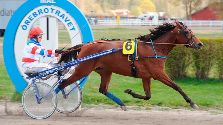Spännande fält i Rikstravets lopp
