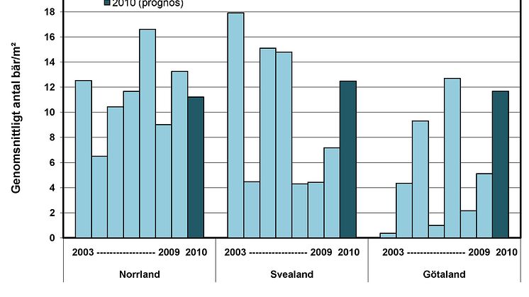 Blåbärsprognos: genomsnittligt antal bär per kvadratmeter