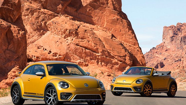 Beetle Dune
