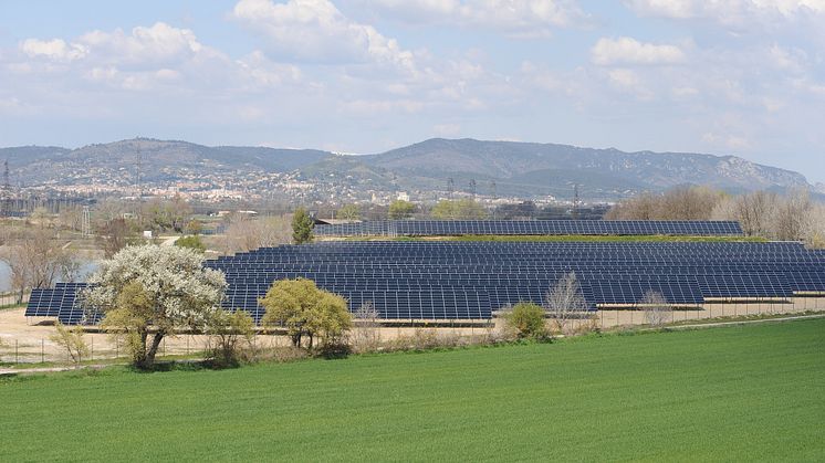 17 Freiflächen-PV-Projekte im Norden und Nordosten Deutschlands                                                         Bildrechte: EDF Renewables