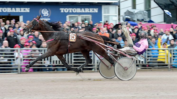 Diable de Vauvert, tränad av Bertrand Le Beller och körd av Gabriele Gelormini, speedade till seger i Harper Hanovers lopp på Solvalla. Foto: TR Bild