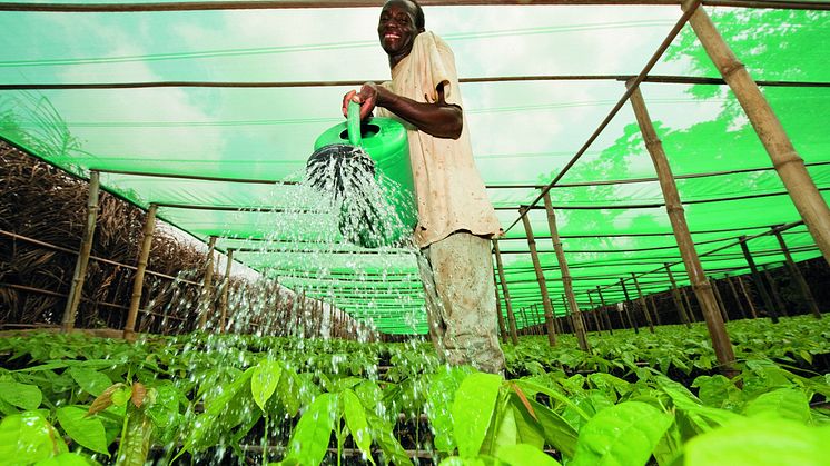 Nestlé Water Initiative