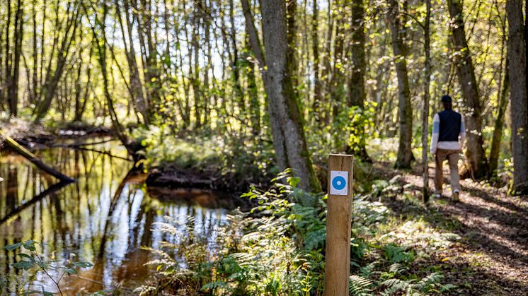 Vinbergs naturreservat