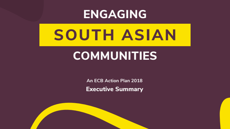 ECB South Asian Action Plan Executive Summary