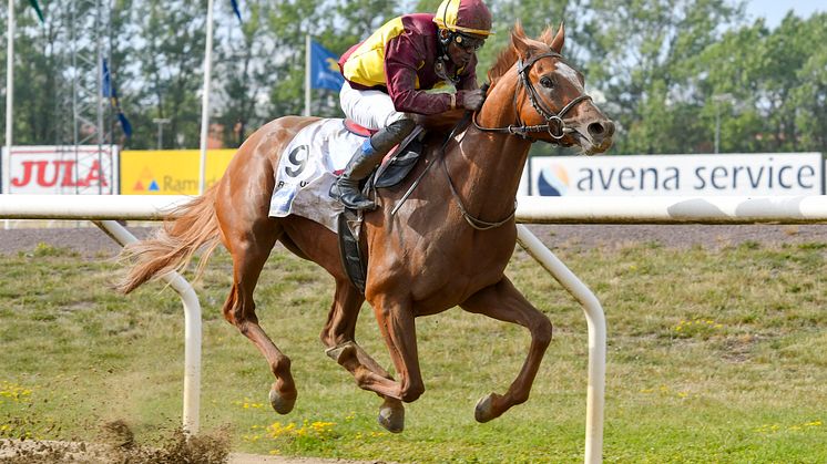 Svenskt Derby 2019: Seger för Red Cactus