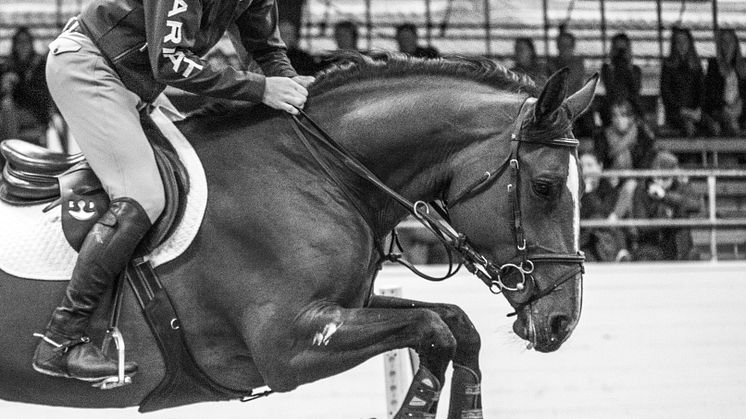 Clinic med Alexander Zetterman på Helsingborg Horse Week