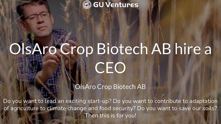 OlsAro Crop Biotech AB is looking to hire a CEO