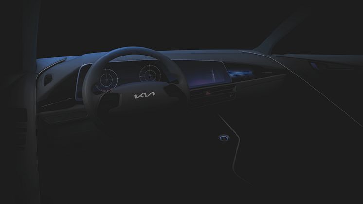 niro-teaser-2