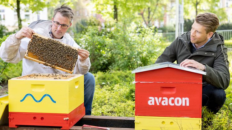 Viel Energie für den Artenschutz: Avacon holt Bienen aufs Betriebsgelände.