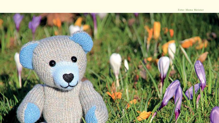 Mit Bärenherz durchs Jahr -  Der neue Bärenherz-Kalender ist da