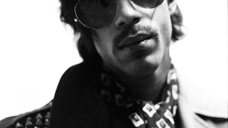 Prince (c) Virginia Turbett