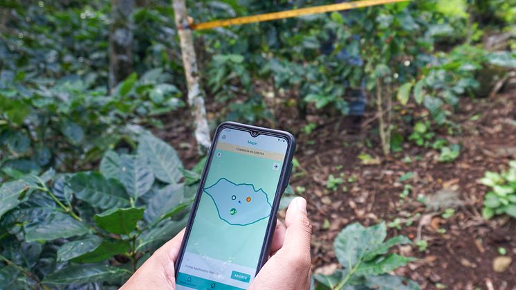 Arvid Nordquist arbetar med Taking Root, Ecom Trading och Rainforest Alliance för att testa en ny metod som gör det enkelt att hantera, mäta och verifiera kolbildning hos småskaliga kaffeodlare. 