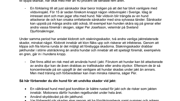 Sårskador ökar bland jakthundar