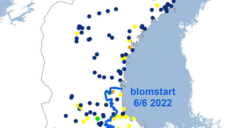 fsk_rönn2022