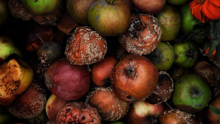 I Borås blir fruktavfall biogas