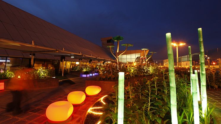 Sunflower garden (night)