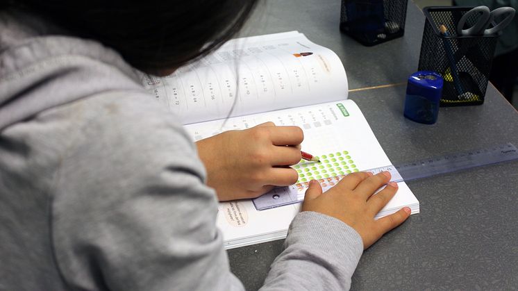 Skola och utbildning