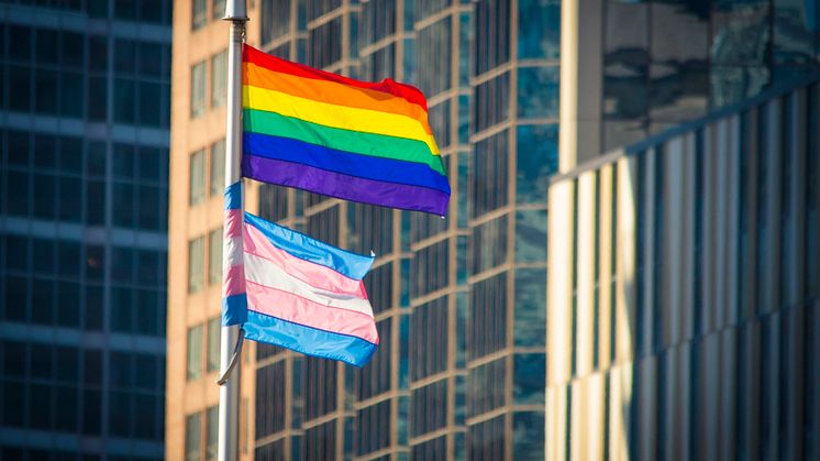 Allianz unveils transitioning at work policy