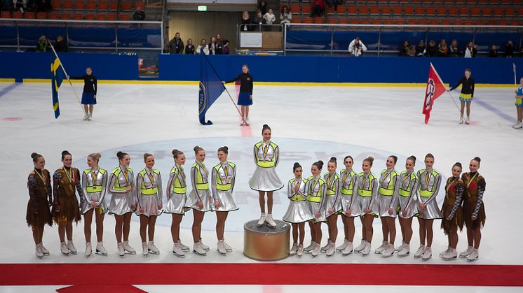 Resultat SM i synkroniserad konståkning 2014