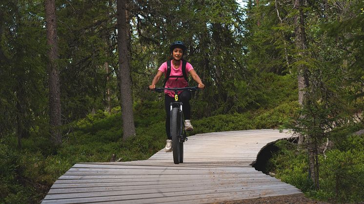 Trailcykling sommar
