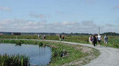 Örebro kommun får pengar för idé om ökad tillgänglighet i natur- och kulturreservat