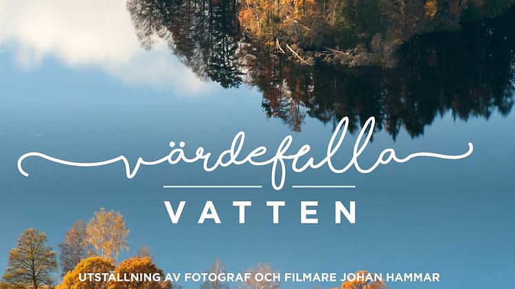 Årets naturfotograf 2018 på Huseby Bruk
