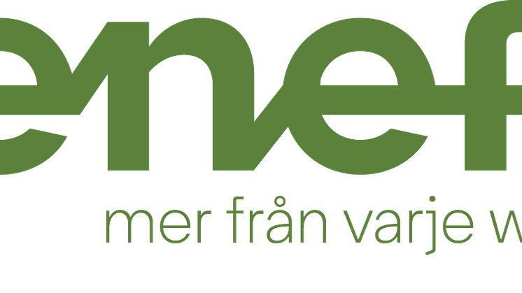 eneff-logotyp-tagline-gron.png