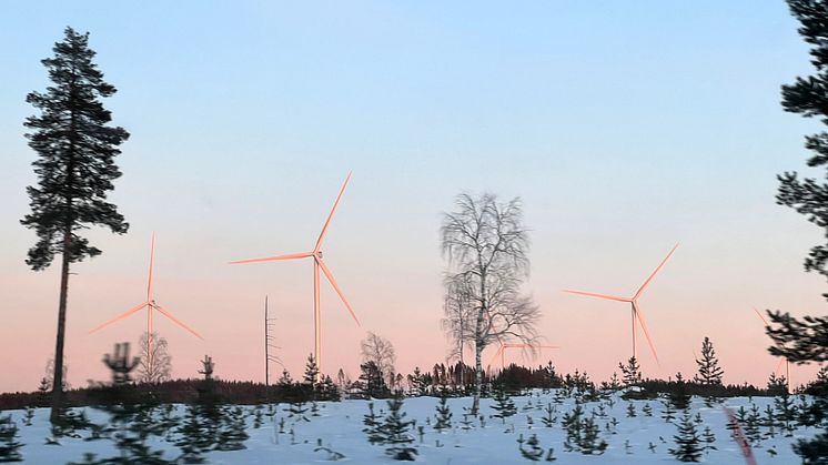 Vindkraftverk i Markbygdens vindkraftpark.      Foto: Piteå kommun